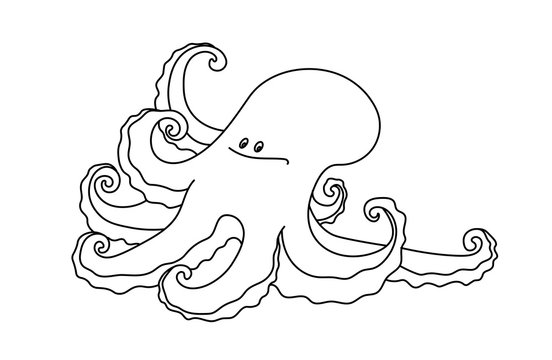 young cute octopus with baby face, tentacles & happy smile, marine monster, logo or emblem, vector illustration with black contour lines isolated on white background in cartoon and hand drawn style