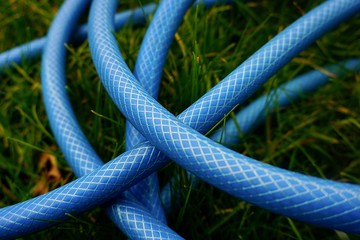 blue hose on the grass