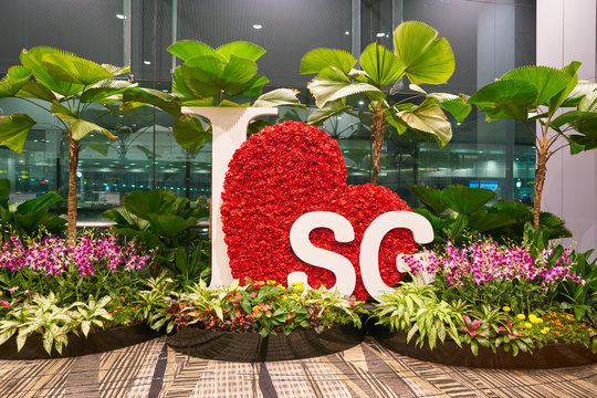 SINGAPORE - CIRCA APRIL, 2019: interior shot of Singapore Changi Airport.