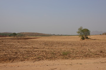 Landscape of the Field in Summer, Ready for the Coming Planting .