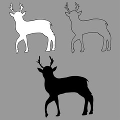 Graphic vector outline, white and black silhouette of a young deer isolated on gray background