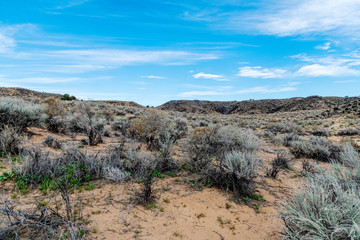Piedras Marcadas Canon National Monument New Mexico