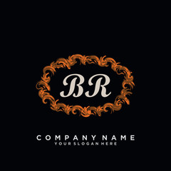 Initial Letter BR Logo With circle Template Vector