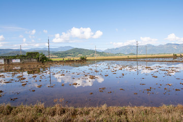 rural landscape over the lake