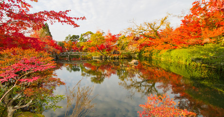 Fototapeta premium Autumn at Kyoto