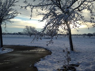 Snow In Texas