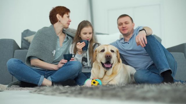 Labrador Retriever Dog Lying on the Floor near the Sofa. Cheerful Family of Three in Background at Home. Slow Motion. Selective Focus. Domestic Animals and People Concept