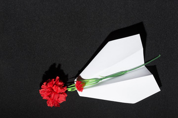Paper plane with carnation flower on a black background. Aircraft crash concept. Air crash concept.