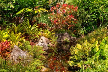 Florida Botannical Gardens