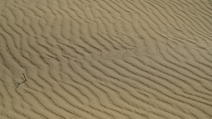 a wavy pattern on the sandy beaches made by the wind.
