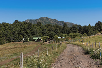 Fototapeta na wymiar farm in the Malalcahuello national reserve in the province of Araucania, Chile