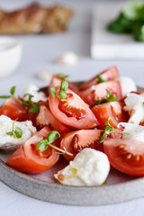 Italian Сaprese salad with sliced tomatoes, mozzarella cheese, basil, olive oil in a plate on grey concrete table. Selective focus