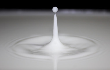 Drop of milk