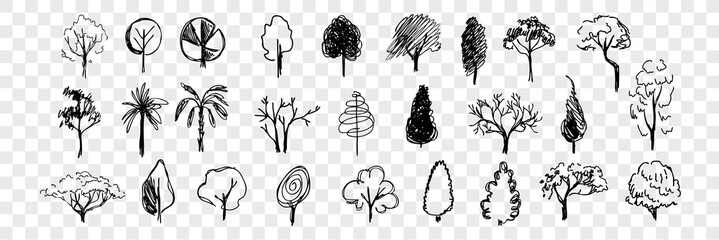 Hand drawn trees doodle set collection