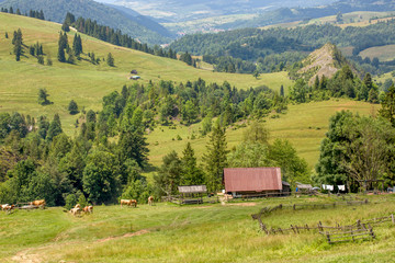 Pieniny - Carpathians Mountains