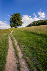 Pieniny - Carpathians Mountains