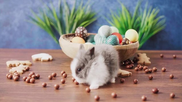Cute Easter bunny in basket with colorful eggs and candies on wooden table. Easter holiday decorations, Easter concept background.
