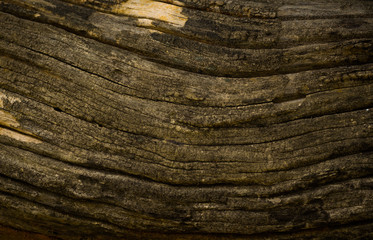 wood texture background