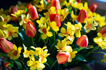 Obraz na płótnie Canvas bouquet of artificial flowers tulips and daffodils