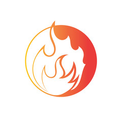 Fire flame vector illustration design template