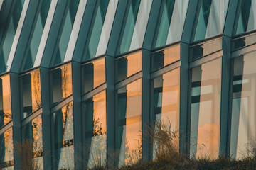 Modern facade of a building made of glass and metal, with reflection of sunset and trees visible in the glass.
