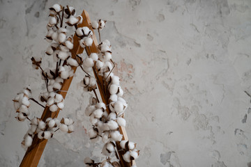 branches of natural cotton in interior. decoration