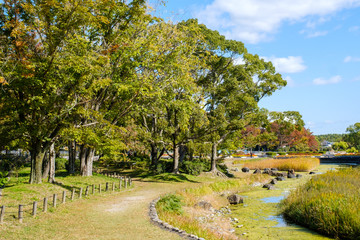 秋の万博記念公園