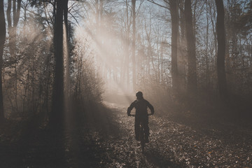 MTB or mountain biker riding up in misty forest with sun behind him. Silhouette of a mountain biker in the foggy woods, beautiful sport silhouette