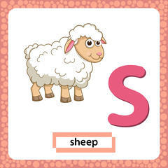 Letter S lowercase with cute cartoon Sheep or Lamb isolated on white background. Funny colorful flashcard Zoo and animals ABC alphabet. Education card for kids learning English vocabulary. VectorEPS10