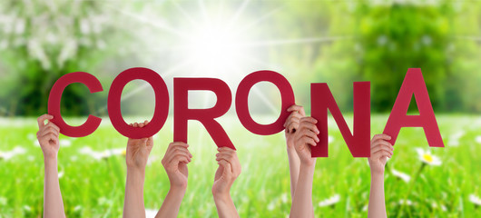 People Hands Holding Red English Word Corona. Sunny Green Grass Meadow As Background