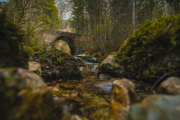 Stone bridge at the river spring of Kamniska Bistrica in Slovenia in dry winter time. Cold enchanted bridge with flowing water underneath in the middle of the forest.