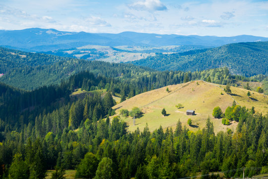 Bukovina Bilder Durchsuchen 8,775 Archivfotos, und