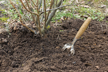 a hoe for weeding and caring for the land, sticking out of the soil, you can see weeds and debris. Protect the planet, care for plants and soil as a reminder of earth day on April 22.