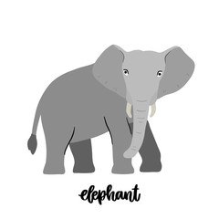 Animal elephant isolated on white background. Beautiful animal print for home decor, card, mug, brochures, poster, t-shirts etc. Modern vector illustration.
