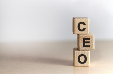 CEO - Executive General Director. text on wooden cubes, on wooden background