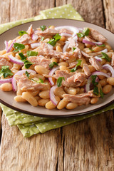 Italian traditional salad with tuna, onions and white beans close-up in a plate. vertical