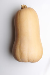 Butternut squash isolated on white background