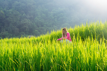 Asian woman in pink sweater sitting in green rice terrace