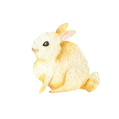Watercolor Easter bunnies. Hand-drawn illustration. Watercolor rabbit isolated on white background