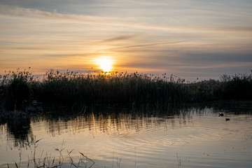 Spain. Sunrise in the El Hondo de Elche natural park. Alicante