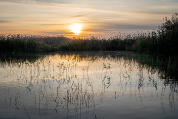 Spain. Sunrise in the El Hondo de Elche natural park. Alicante