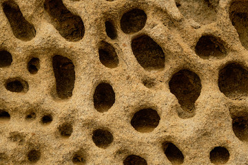 Sandstone rock along the cliffs. Rocks are full of holes by weathering and erosion. Weathered sandstone texture background