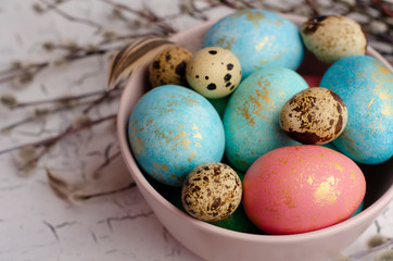 Easter colorful eggs in the plate and  willow branch on white background. Easter holiday postcard concept. Copy space for text.