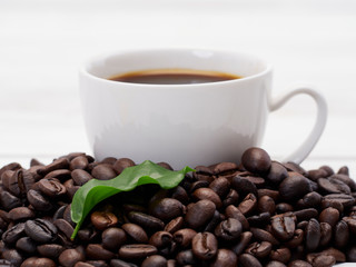 Roasted coffee beans with coffee leaves.