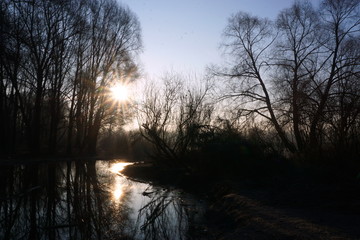 A wonderful Golden sunrise over the river with trees in spring.