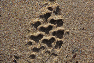 coeur sur le sable