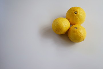 レモンのような黄色い柑橘類はるか