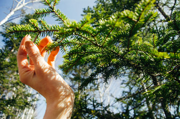 Nature love