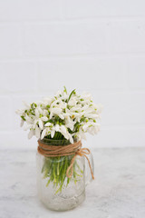 Bouquet of spring flowers of snowdrops in a glass vase on a light brick wall.
