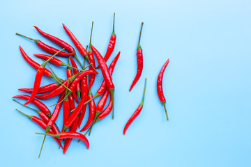  Red chili pepper  on blue background.